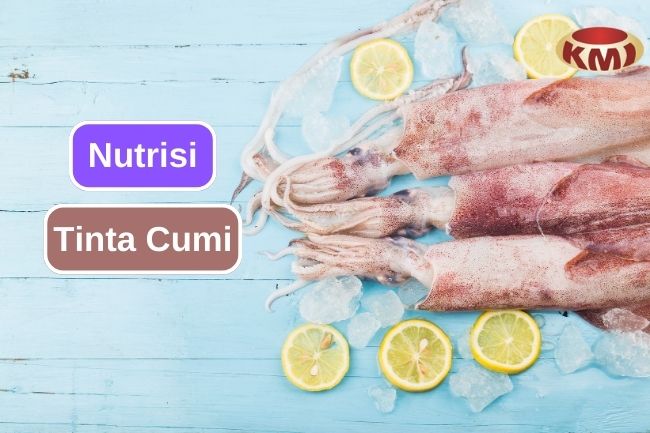 5 Kandungan Nutrisi Penting Pada Tinta Cumi